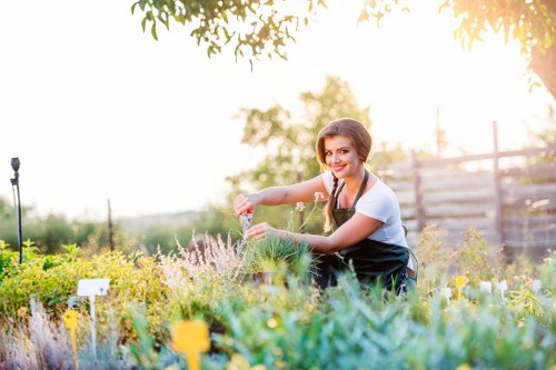 Training session for Belmont gardeners on equipment safety