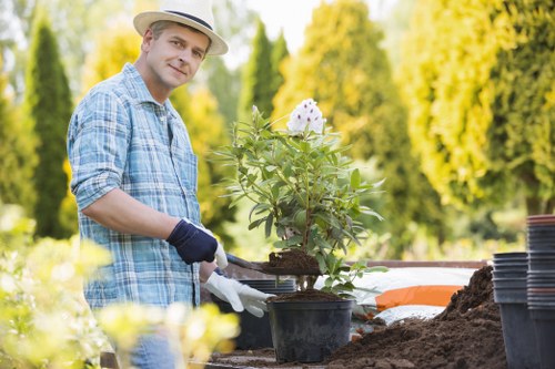 Hedge trimming professionals using low-emission equipment on a suburban hedge